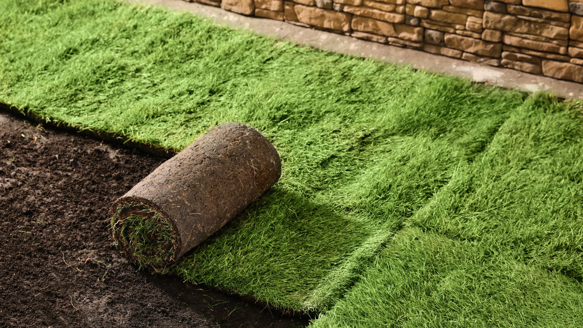 Fresh sod installation on a residential lawn
