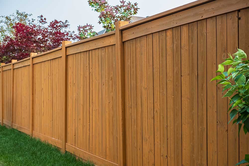 Wooden privacy fence with green grass and trees in background
